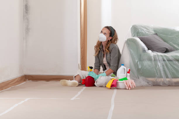 Reliable Mold Remediation contractor in Beverly, NJ by Mold Remediation HQ